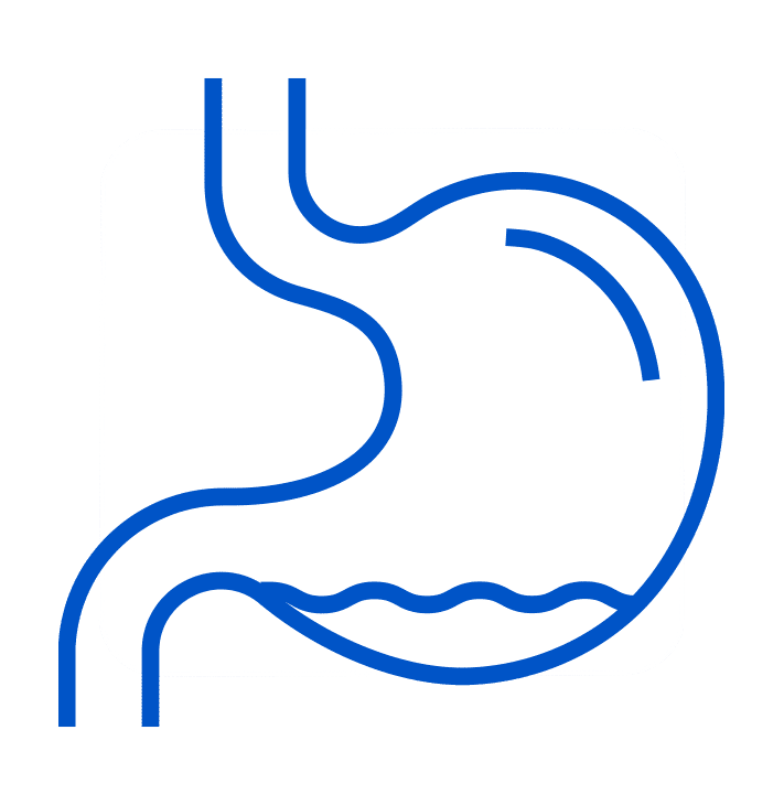 Stylised blue outline of a stomach on a gray square background.